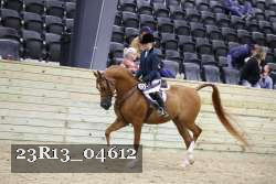 23R13_04612 thumbnail