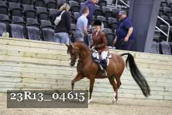 23R13_04615 thumbnail