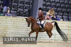 23R13_04616 thumbnail