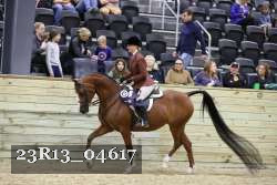 23R13_04617 thumbnail