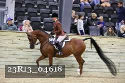 23R13_04618 thumbnail