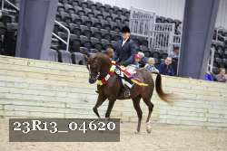 23R13_04620 thumbnail