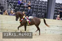 23R13_04623 thumbnail