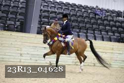 23R13_04628 thumbnail