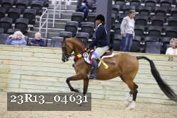 23R13_04631 thumbnail