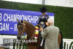 23R13_04660 thumbnail
