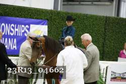 23R13_04662 thumbnail