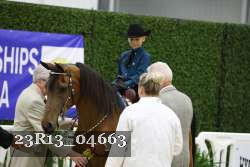 23R13_04663 thumbnail