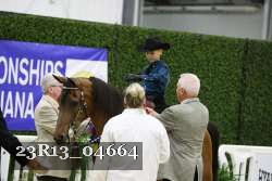 23R13_04664 thumbnail