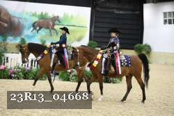 23R13_04668 thumbnail