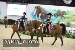 23R13_04670 thumbnail