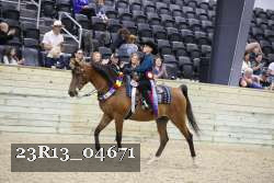 23R13_04671 thumbnail