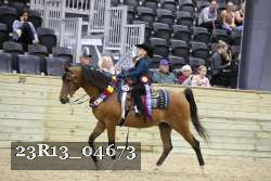 23R13_04673 thumbnail