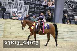 23R13_04675 thumbnail