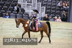 23R13_04676 thumbnail