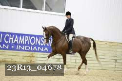 23R13_04678 thumbnail