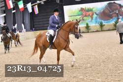 23R13_04725 thumbnail