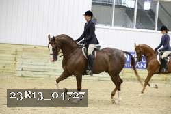 23R13_04727 thumbnail