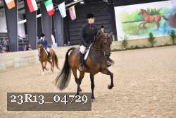23R13_04729 thumbnail