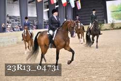 23R13_04731 thumbnail