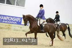 23R13_04732 thumbnail