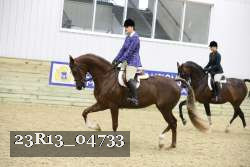 23R13_04733 thumbnail