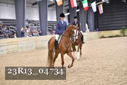23R13_04734 thumbnail