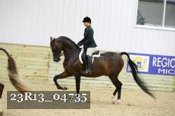 23R13_04735 thumbnail