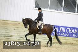 23R13_04738 thumbnail