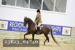 23R13_04740 thumbnail