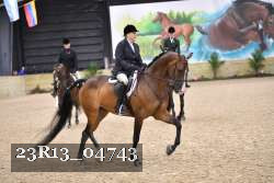 23R13_04743 thumbnail