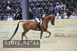 23R13_04744 thumbnail
