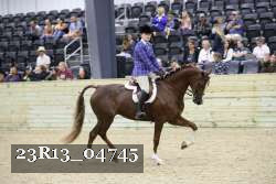 23R13_04745 thumbnail