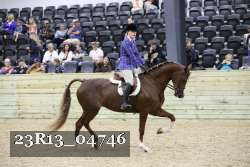 23R13_04746 thumbnail