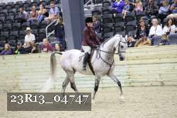 23R13_04747 thumbnail