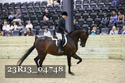 23R13_04748 thumbnail