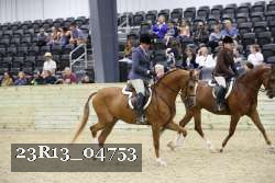 23R13_04753 thumbnail