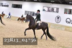 23R13_04756 thumbnail