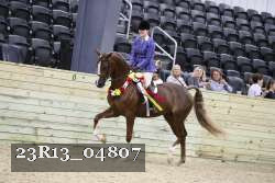 23R13_04807 thumbnail