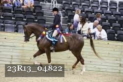 23R13_04822 thumbnail