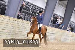 23R13_04823 thumbnail