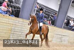 23R13_04824 thumbnail