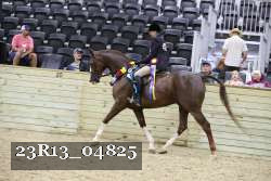 23R13_04825 thumbnail