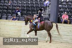 23R13_04826 thumbnail