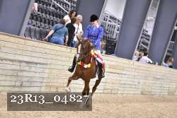 23R13_04827 thumbnail