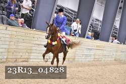 23R13_04828 thumbnail