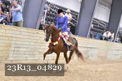 23R13_04829 thumbnail