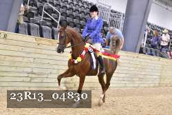 23R13_04830 thumbnail