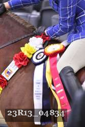 23R13_04834 thumbnail