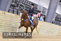 23R13_04835 thumbnail